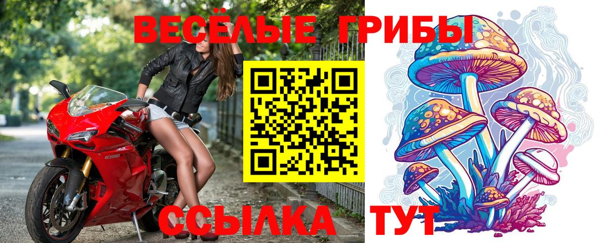 Галлюциногенные грибы Magic Shrooms  Вход с VPN  Ялта 