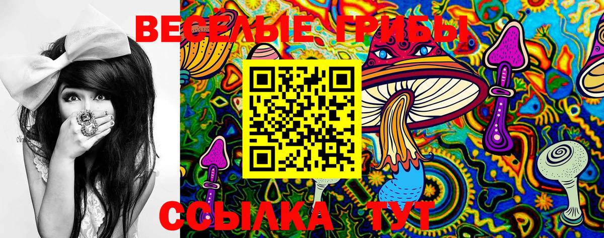 Псилоцибиновые грибы GOLDEN TEACHER Ялта